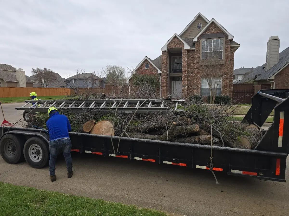 Expert Lot Clearing with proper safety equipment in Locustdale